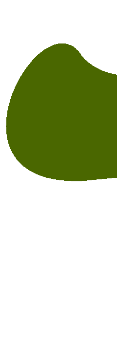links